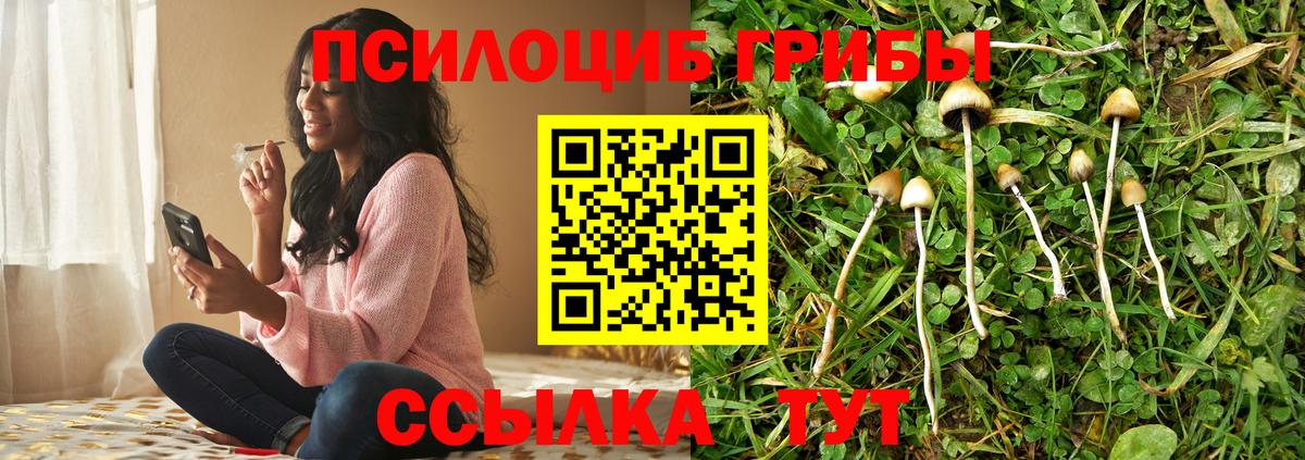 Галлюциногенные грибы ЛСД  Вход с VPN  Мелеуз 
